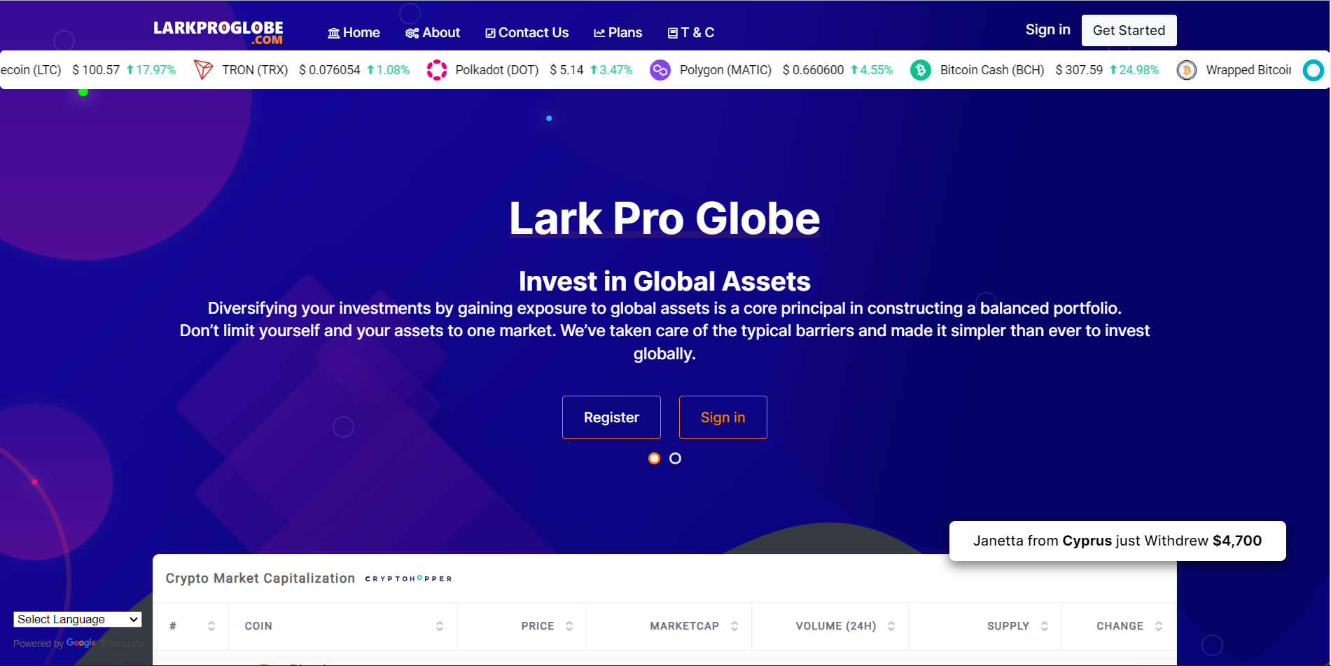 Lark Pro Globe Investment (Crypto)